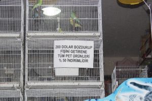 Esnaftan döviz çağrısına tam destek