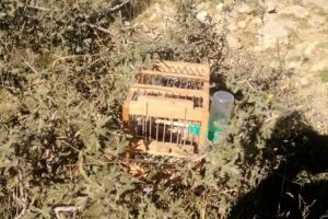Yasa dışı kuş avcılığına suçüstü