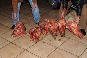 At kesip sattığı öne sürülen sanıklara 11 yıl hapis istemi