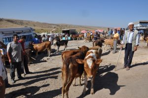Kurbanlıklar pazardaki yerini aldı