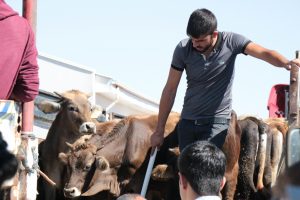 Genç çiftçilere 12 milyonluk destek