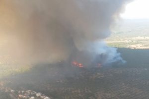 Çanakkale'de orman yangını