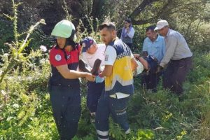 Otomobil dereye uçtu: 1 yaralı