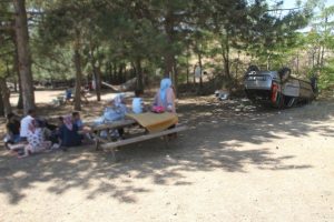 Yanlarına otomobil uçtu, onlar pikniğe devam etti