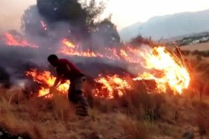 Kahramanmaraş'ta orman yangını