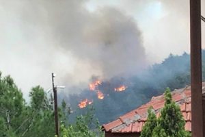 Hatay'da orman yangını!