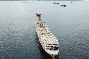 Şarbonlu hayvanları taşıyan gemi Çeşme'de iddiası