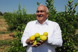 Başkan bahçeye girip limon kesti