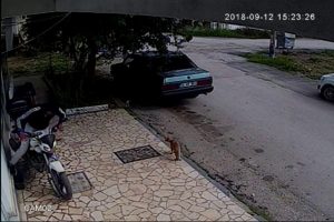 Motosiklet çalan hırsızlar kaza yapınca yakalandı