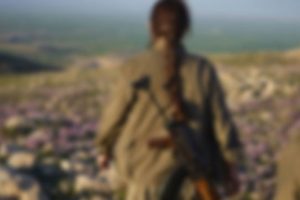 Mardin'de yakalanan 2 terörist tutuklandı