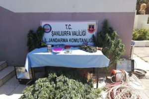 'Drone' destekli uyuşturucu operasyonu: 1 gözaltı