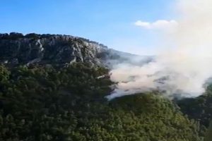 Antalya'da orman yangını