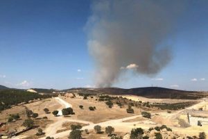 Bergama'da ormanlık alanda yangın çıktı