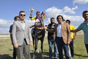 Safkan atlar piste çıktı