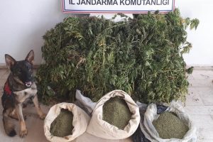Jandarma uyuşturucuya geçit vermedi!