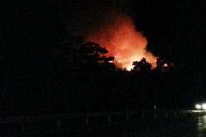 Antalya'da ormanlık alanda yangın çıktı