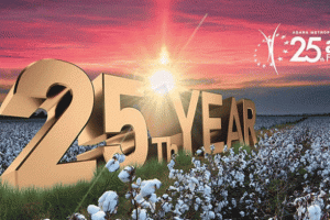 Altın Koza için 15 film yarışacak