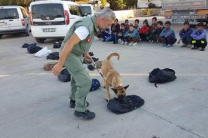 22 kaçak Afgan yakalandı