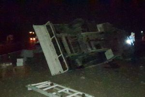 Küçükbaş hayvanlara çarpmamak için kaza yaptı