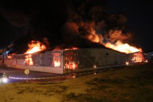 Aydın'da fabrika yangını