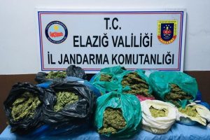 Elazığ'da 22 kilo esrar ele geçirildi