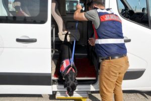 Öğrenci servislerine sıkı denetim