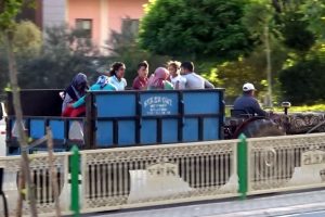 Tarım işçilerinin tehlikeli yolculuğu