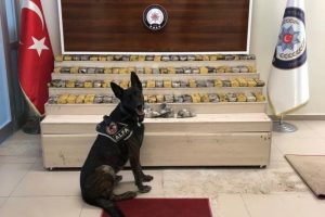 TIR'ın dorsesinde 52 kilo eroin ele geçirildi