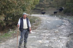 Bursa Uludağ eteklerinde besicilerin ayı korkusu