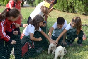 Can Dostları Bursa'da öğrencilerle buluştu