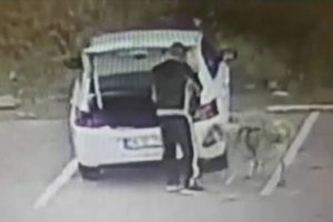 Köpeği arabanın bagajına koyarak çaldı