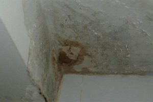 'Akan banyo' kavgası cinayetle bitti!