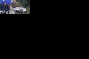 Direksiyon hakimiyeti kaybolan otomobil ormana uçtu