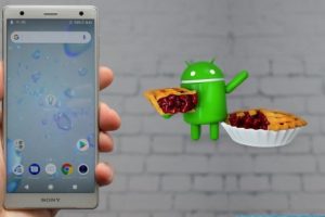 Sony ilk Android Pie güncellemesini yayınladı!