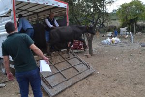 Bursa'da genç çiftçilere destek!
