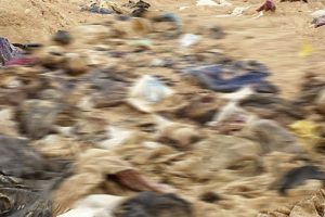Irak'ta toplu mezar bulundu