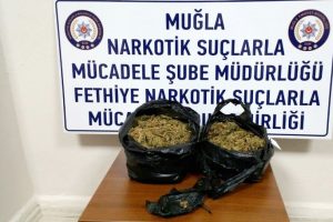 Narkotik köpeği Molly uyuşturucuya geçit vermedi