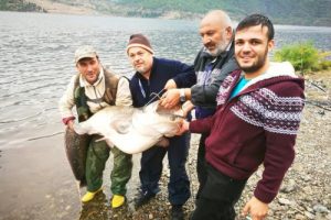 Kızılırmak'ta dev yayın balığı yakaladı