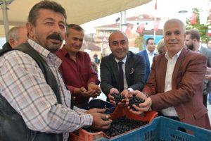 Bursa Nilüfer Belediye Başkanı Bozbey: Zeytin sofranızdan eksik olmasın