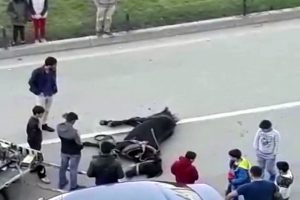 Bitkin düşen at yere yığıldı
