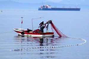 30 dakikada 50 kilo balık yakaladı