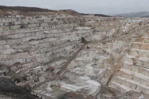 Amasya Beji 50 ülkeye ihraç ediliyor
