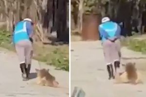 Köpeği sürükleyen barınak görevlisine soruşturma