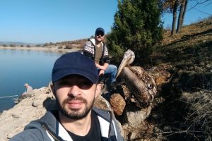 Yaralı pelikan tedavi altına alındı