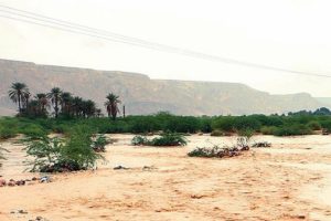Suudi Arabistan'da sel felaketi!