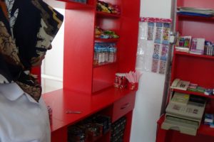 Bursa'da hırsızlar okulu soyup soğana çevirdi