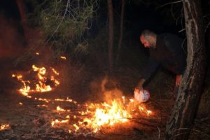 Antalya'da orman yangını korkuttu!