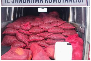 Bursa Gemlik'te 2 ton kaçak midye ele geçirildi