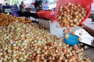 Patates ve soğanda fiyat artacak
