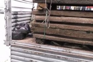 Tam 2 milyon lira değerinde! Hepsi ele geçirildi